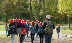 15 tirolkreis reise