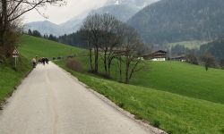 unadjustednonraw thumbf3c