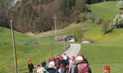 tirolkreis reise 2025 impressionen